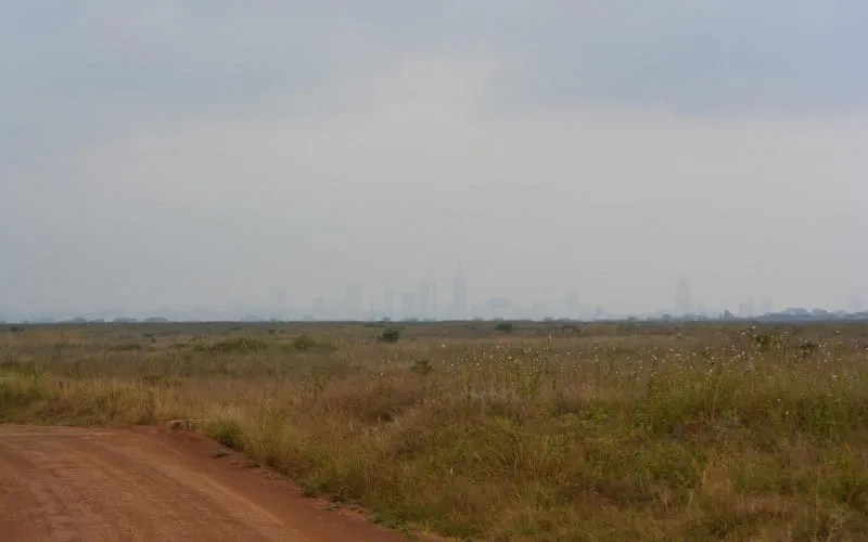 dsc_0464.jpg